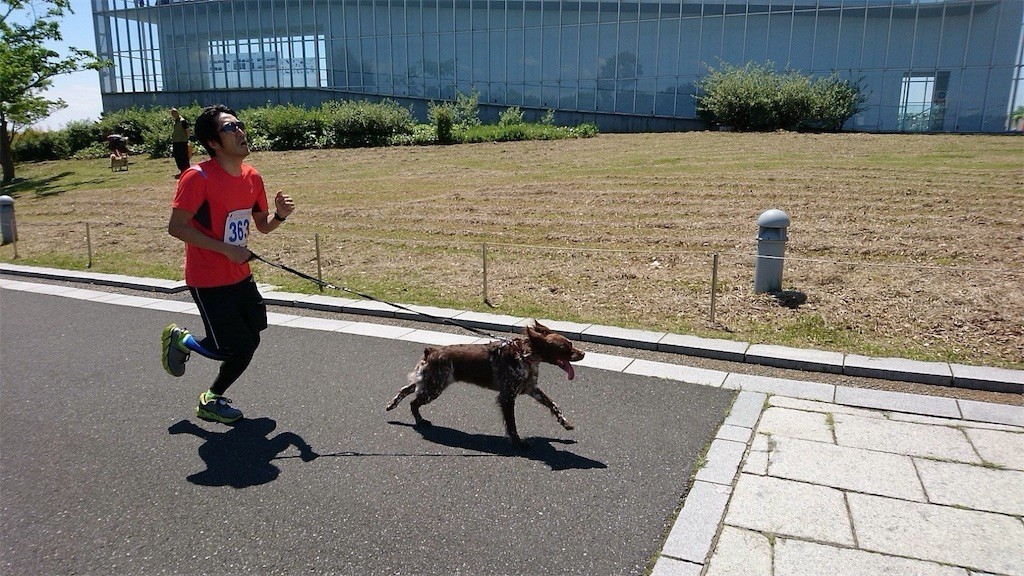 f:id:keroringo:20170601213302j:image f:id:keroringo:20170601213302j:image