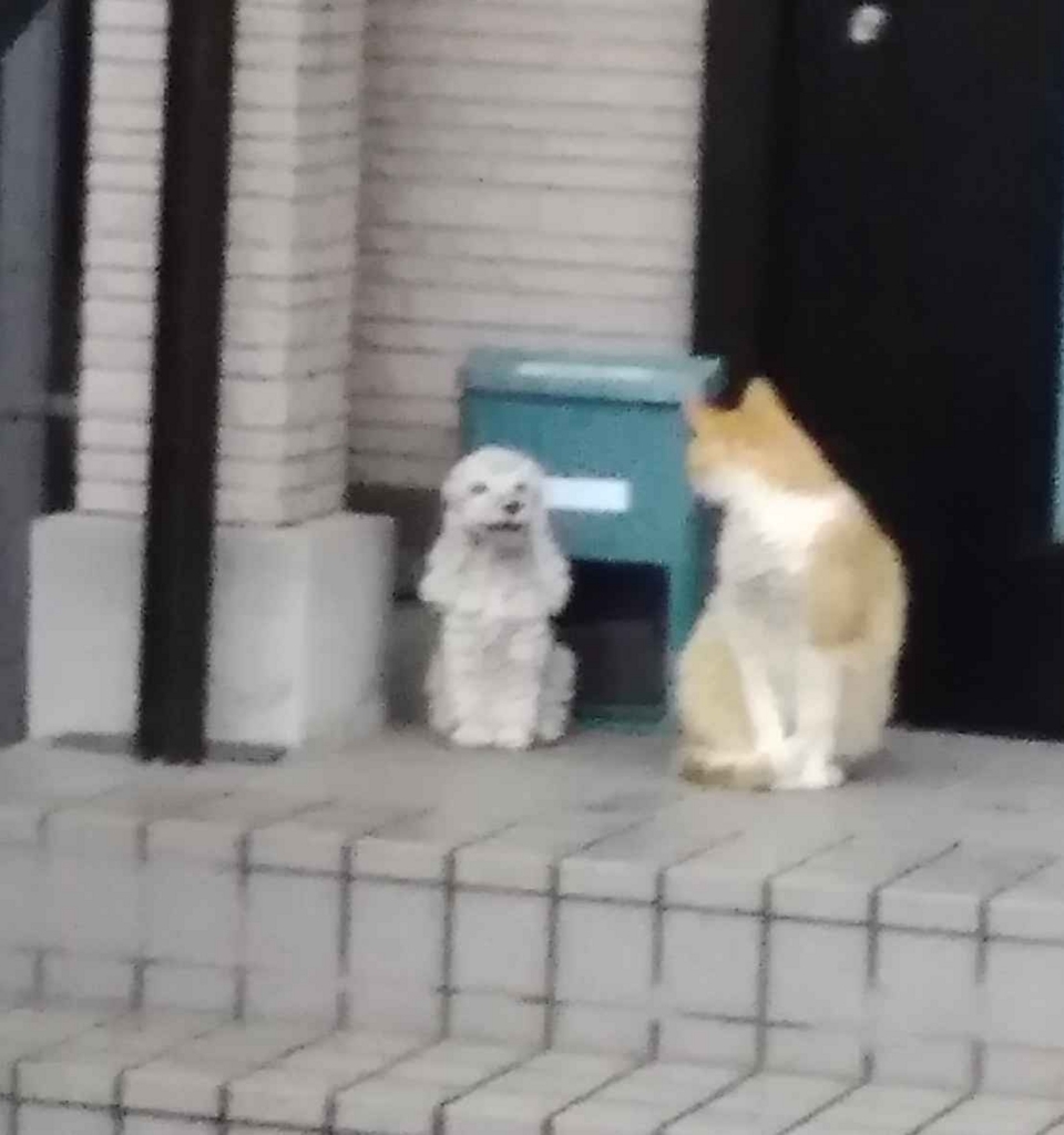f:id:keroro_ururu:20170817104929j:plain f:id:keroro_ururu:20170817104929j:plain