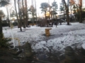 20160118163934