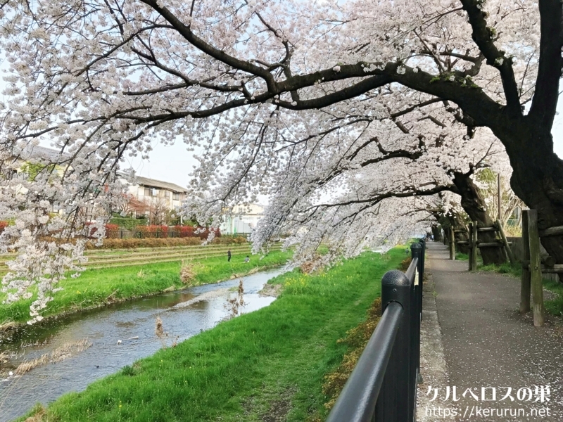 f:id:keruberosxx:20180329201224j:plain