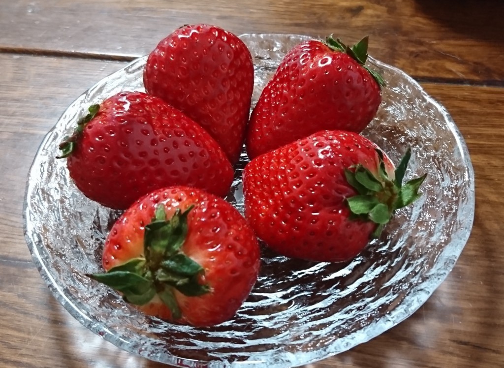 f:id:keruto:20170324232034j:plain