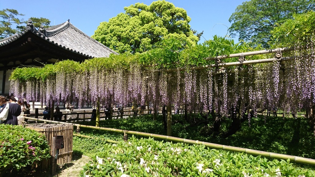 f:id:keruto:20180429135359j:plain