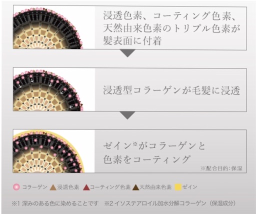 f:id:keserasera-fun:20200602105534j:image f:id:keserasera-fun:20200602105534j:image