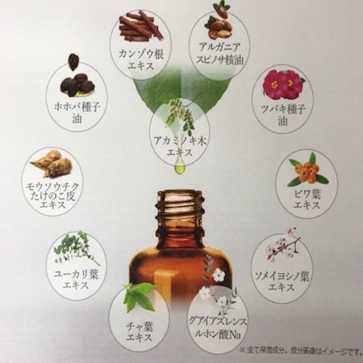 f:id:keserasera-fun:20200602120222j:image f:id:keserasera-fun:20200602120222j:image