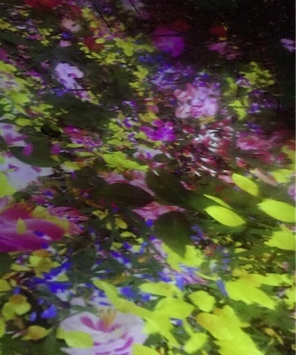 f:id:keserasera-fun:20201122140246j:image