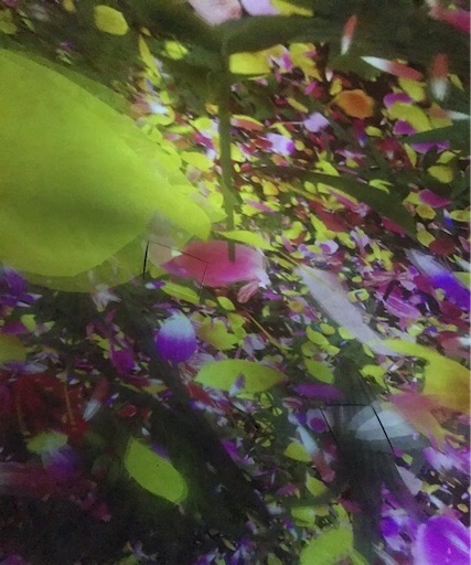 f:id:keserasera-fun:20201122140317j:image