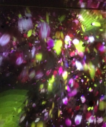 f:id:keserasera-fun:20201122140333j:image