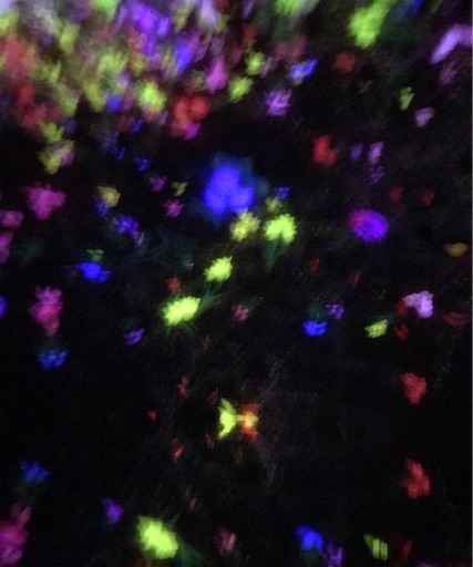 f:id:keserasera-fun:20201122140346j:image