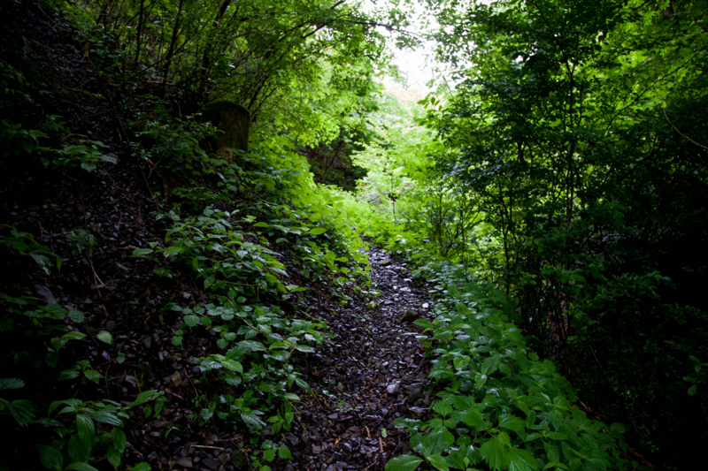 f:id:kesuuyof:20120617110425j:image