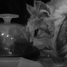 f:id:ket-30:20161101161805j:plain:w150:h150