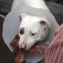 f:id:ket-30:20161101162430j:plain:w150:h150