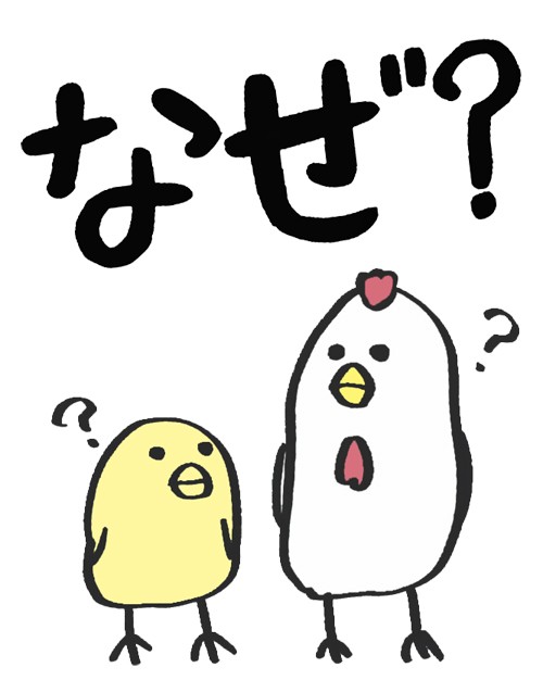 f:id:ket_tenko:20250421223549j:image