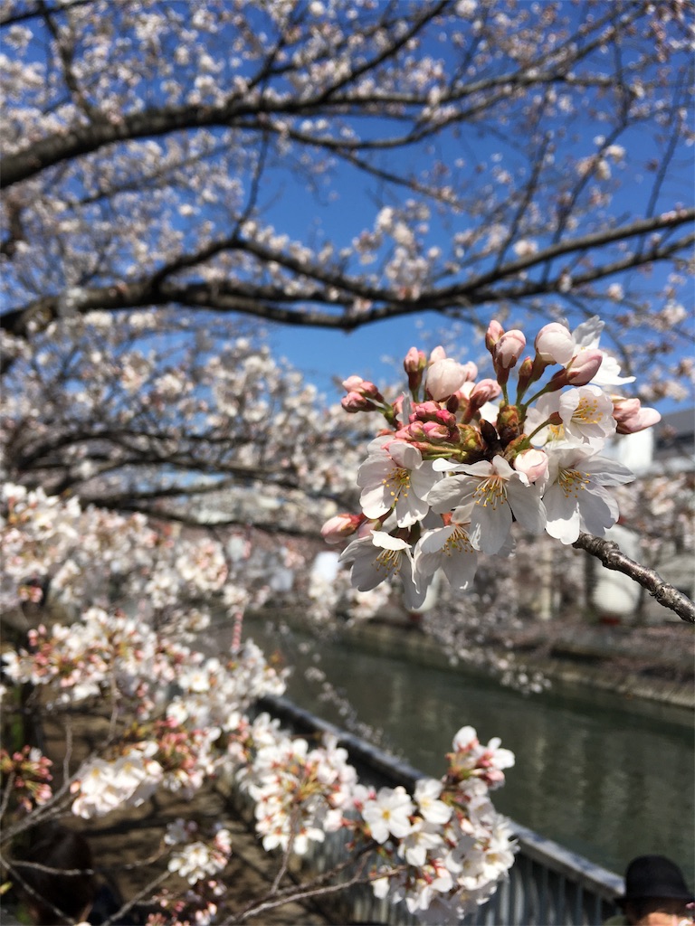 f:id:ketoraaa:20180325153358j:image