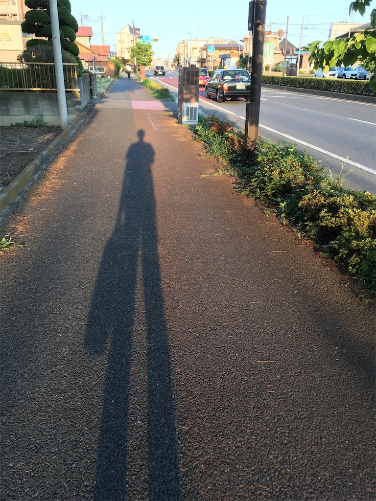 f:id:ketoraaa:20180731182702j:image