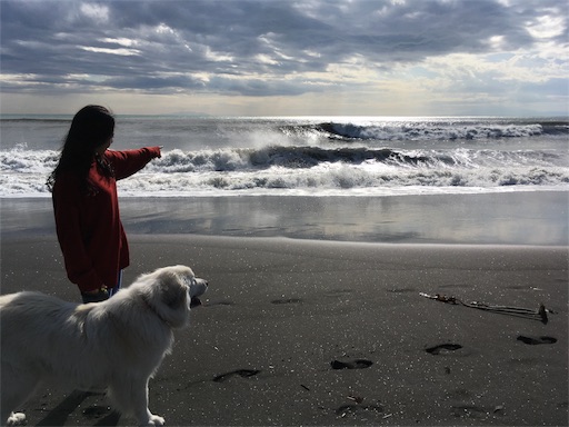 f:id:ketoraaa:20180913093519j:image