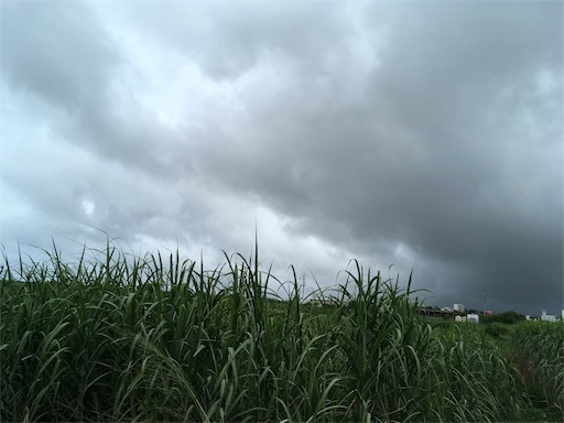 f:id:ketoraaa:20180926160203j:image