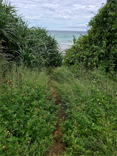 f:id:ketoraaa:20180926160524j:image