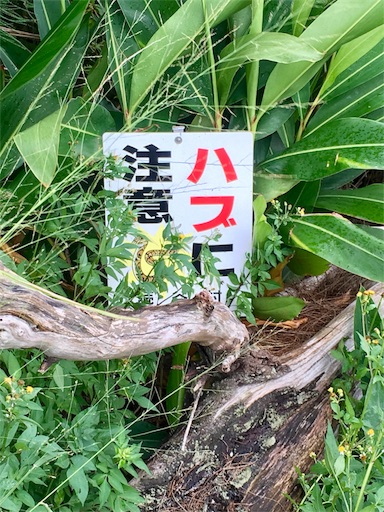 f:id:ketoraaa:20180926160605j:image