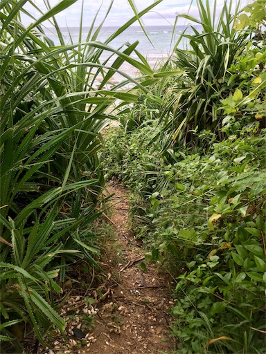 f:id:ketoraaa:20180926160705j:image