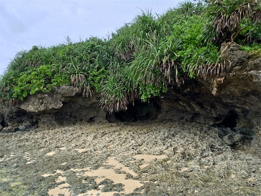 f:id:ketoraaa:20180926161017j:image