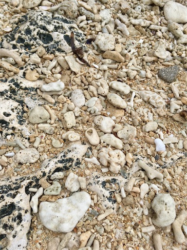 f:id:ketoraaa:20180926161525j:image