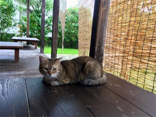 f:id:ketoraaa:20180926161916j:image