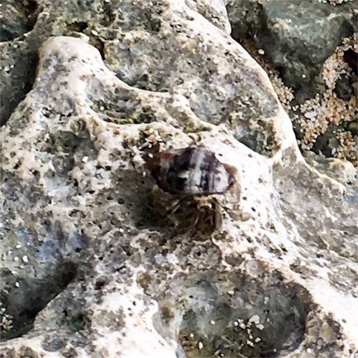 f:id:ketoraaa:20180926163838j:image