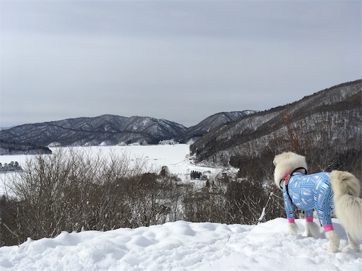 f:id:ketoraaa:20190215173509j:image