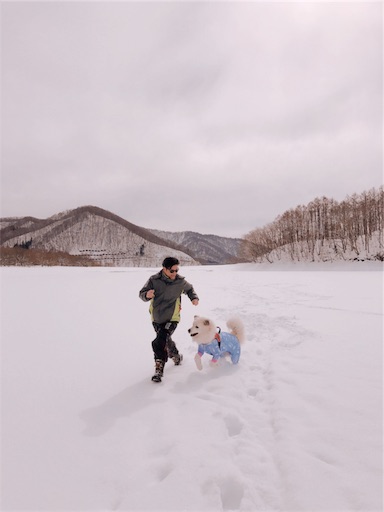 f:id:ketoraaa:20190215174220j:image