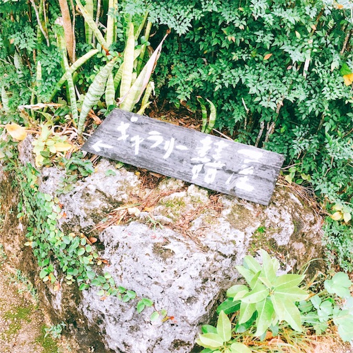 f:id:ketoraaa:20190312162809j:image