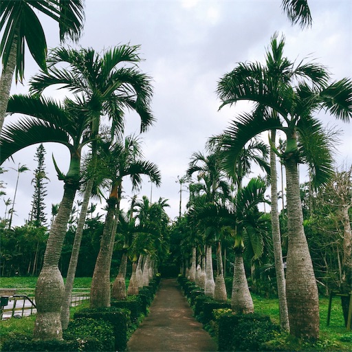 f:id:ketoraaa:20190312163147j:image