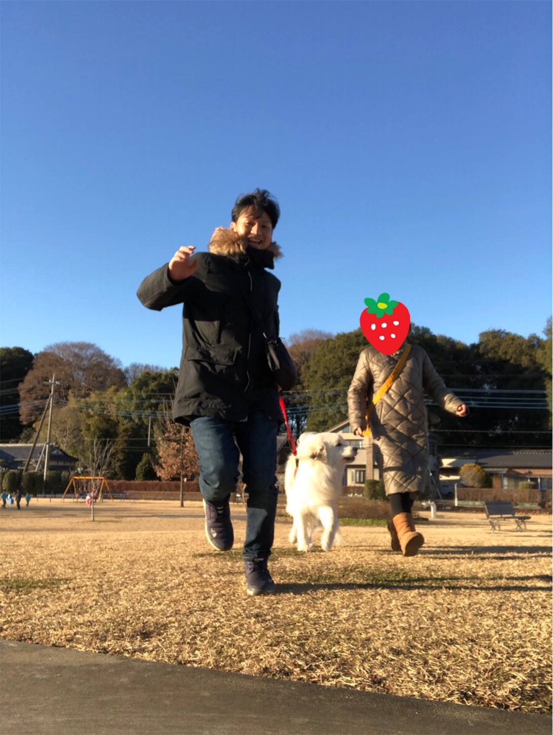 f:id:ketoraaa:20190811161139j:image