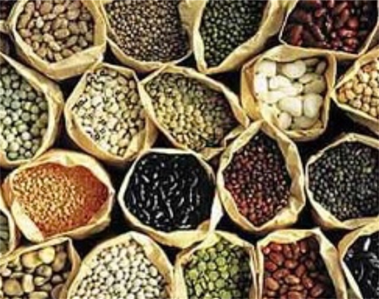 f:id:ketoraaa:20200815223902j:image