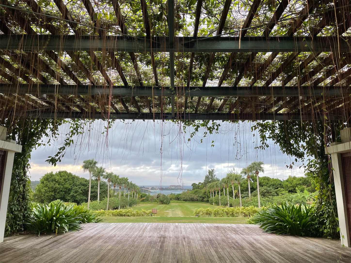 f:id:ketoraaa:20201220162314j:image f:id:ketoraaa:20201220162314j:image