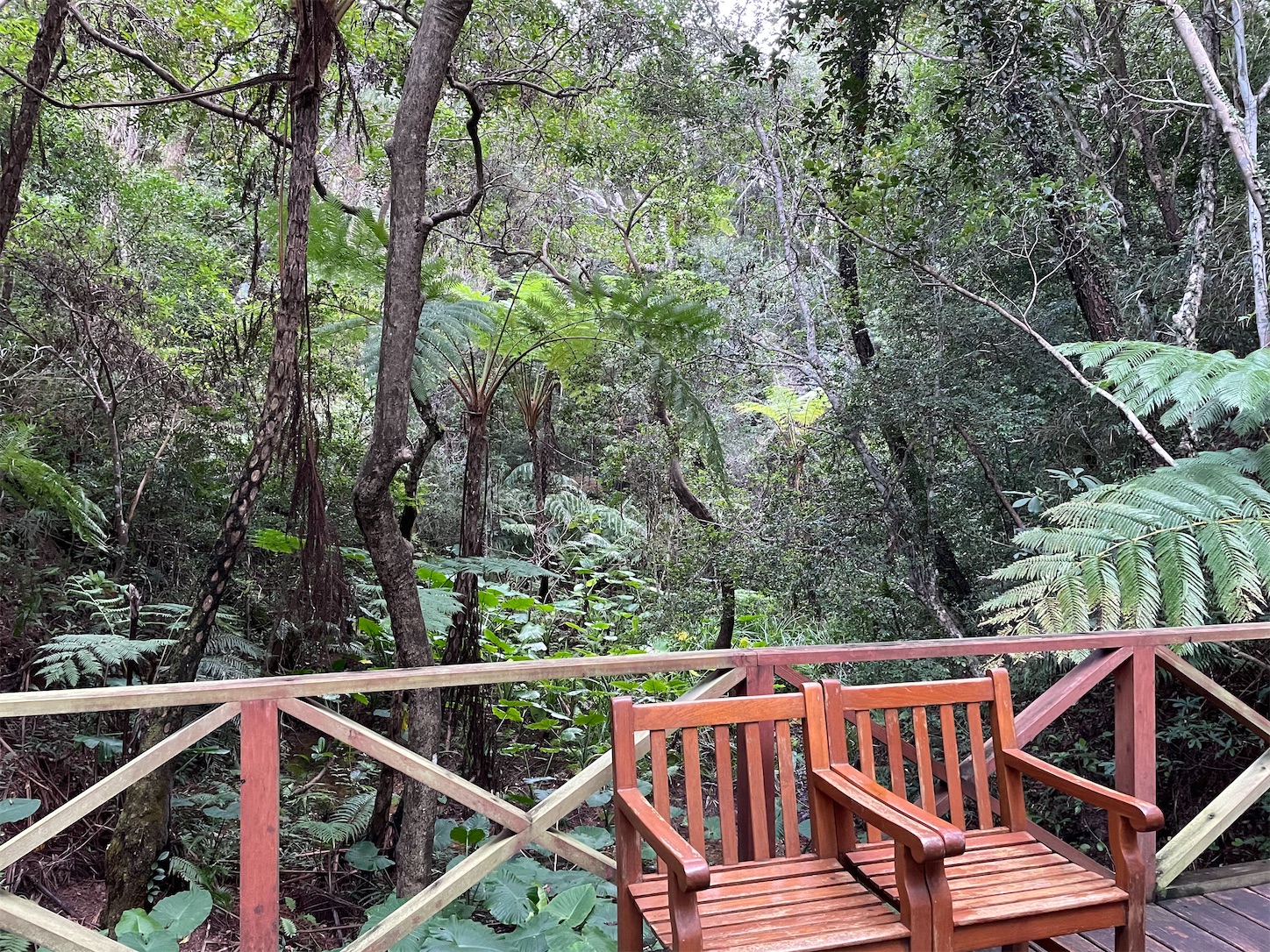 f:id:ketoraaa:20201220162318j:image f:id:ketoraaa:20201220162318j:image