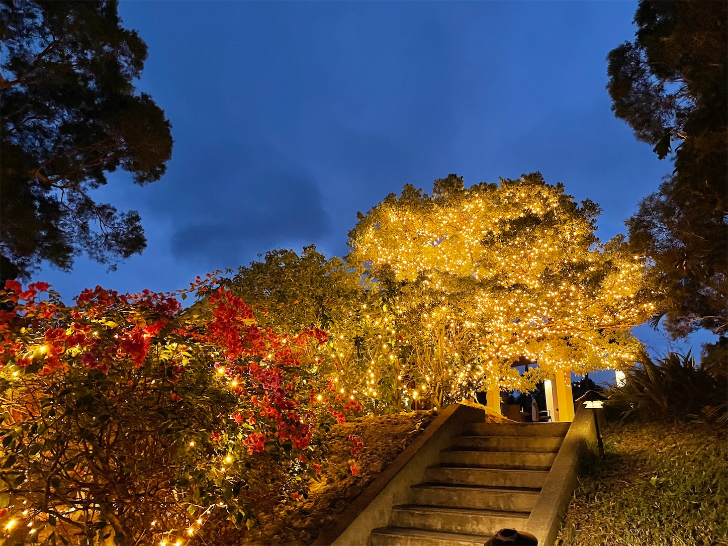 f:id:ketoraaa:20201220162546j:image f:id:ketoraaa:20201220162546j:image