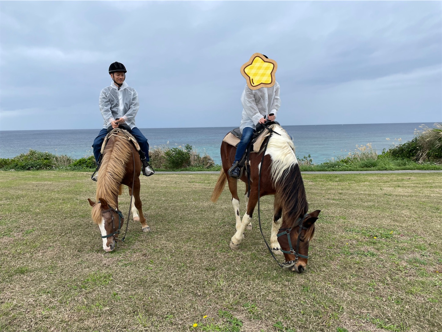 f:id:ketoraaa:20201220163157j:image f:id:ketoraaa:20201220163157j:image