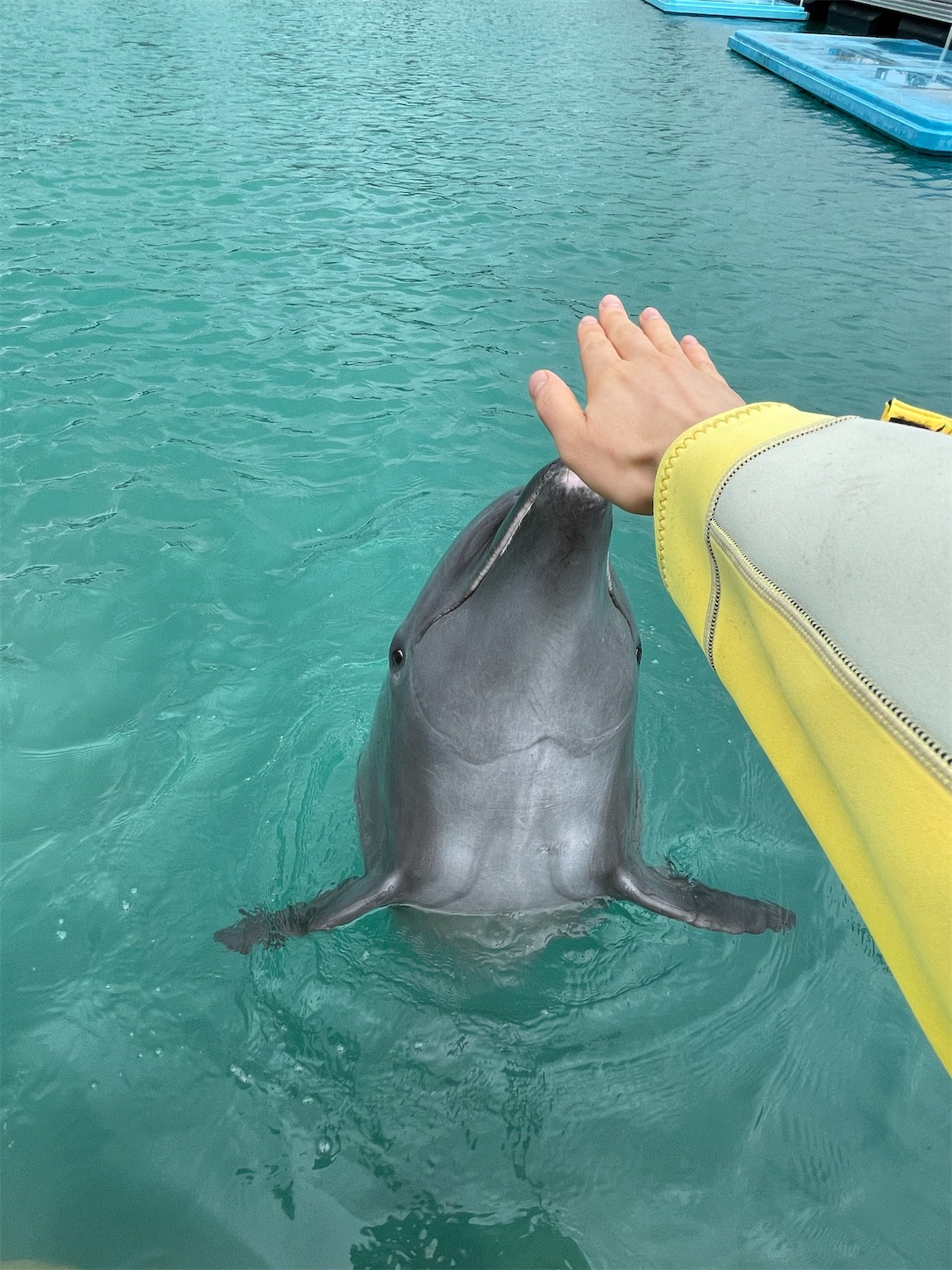 f:id:ketoraaa:20201220163245j:image f:id:ketoraaa:20201220163245j:image