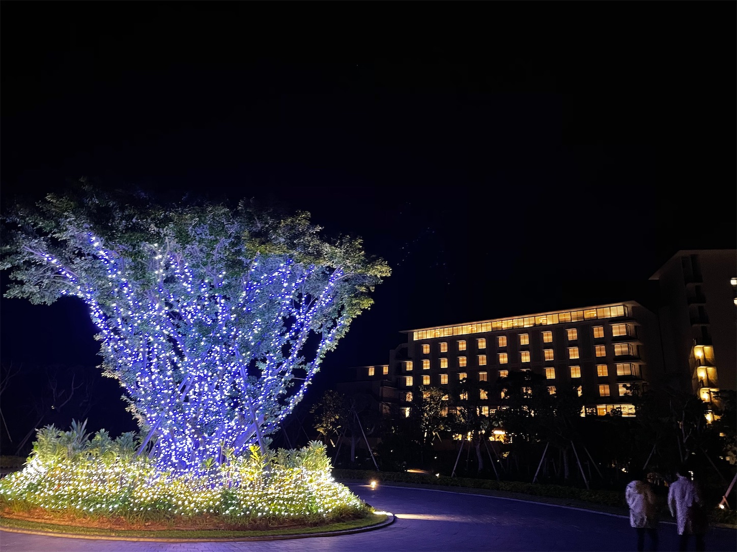 f:id:ketoraaa:20201220203944j:image f:id:ketoraaa:20201220203944j:image