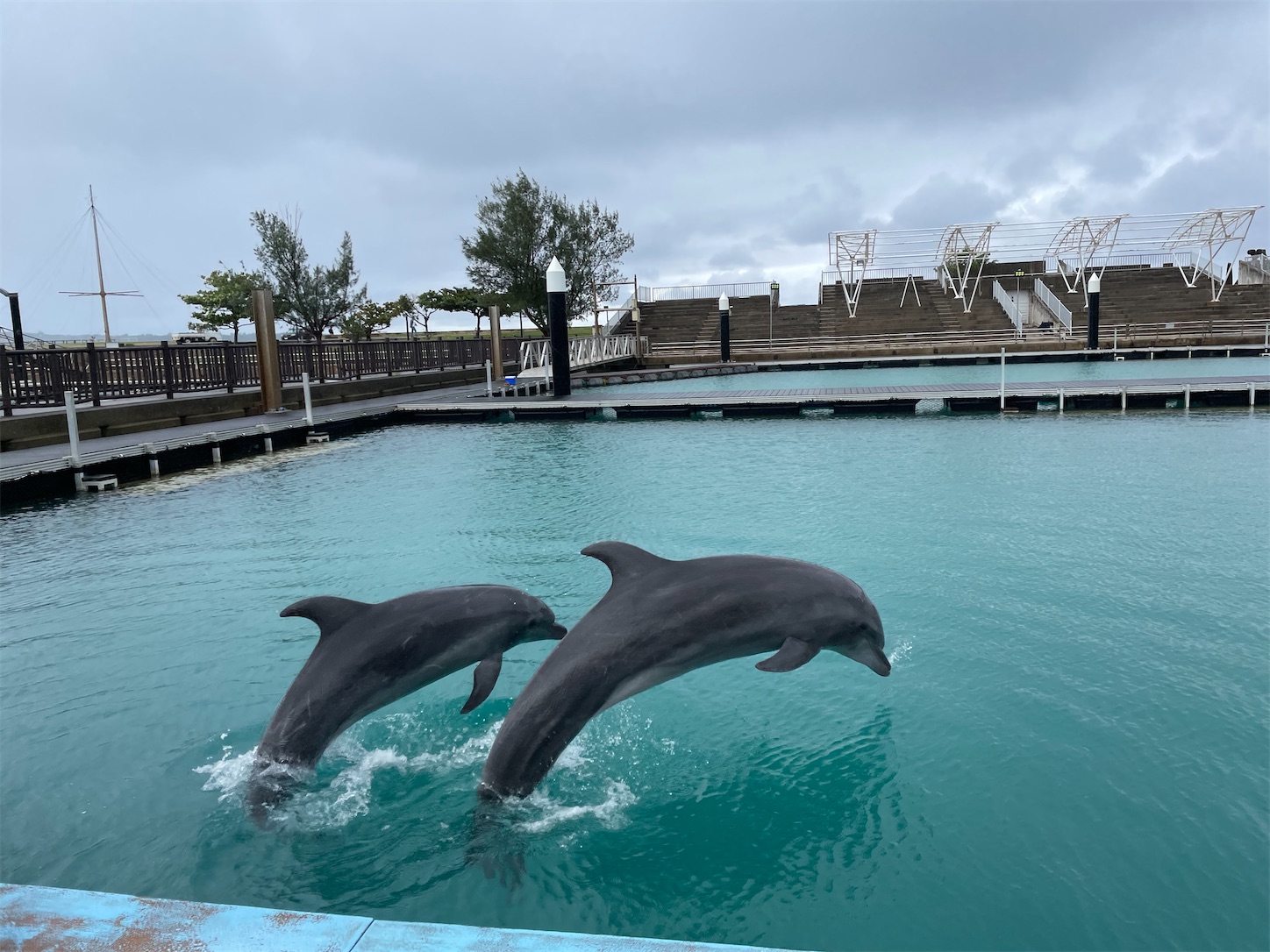 f:id:ketoraaa:20201220221135j:image f:id:ketoraaa:20201220221135j:image