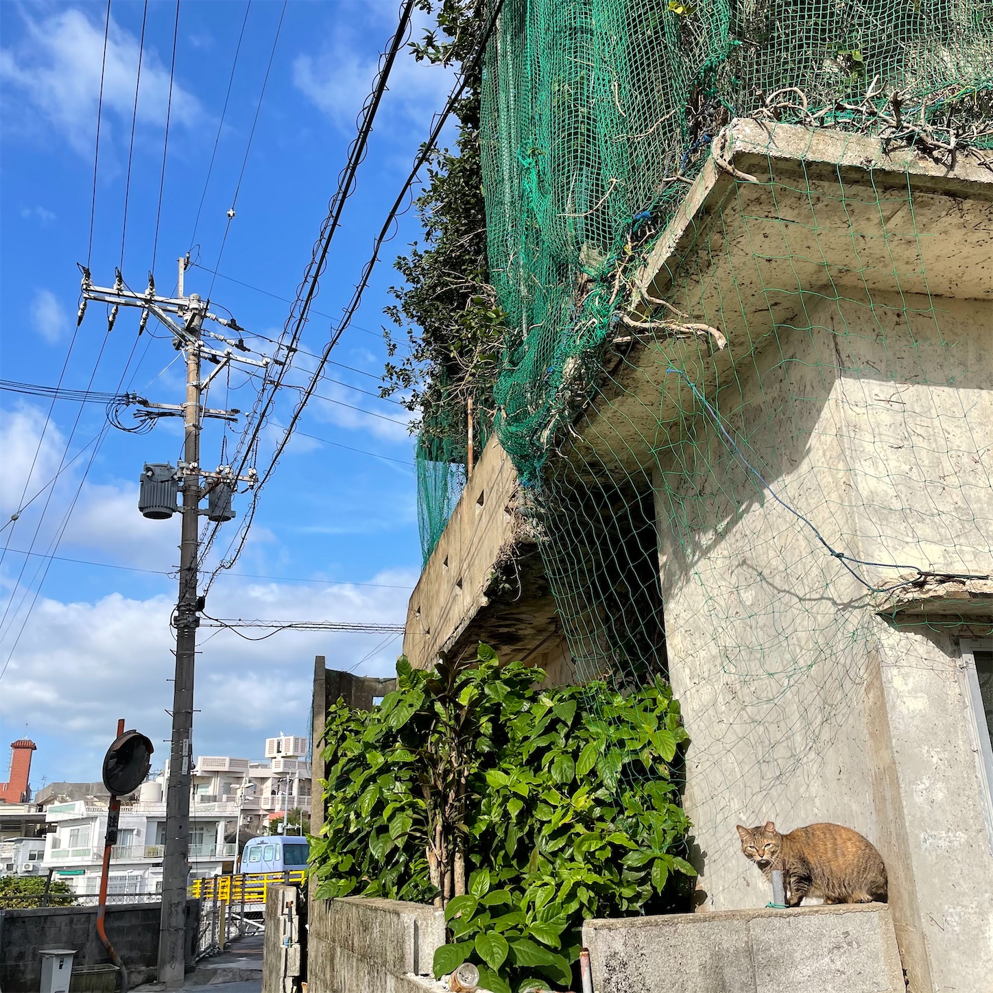 f:id:ketoraaa:20210425231953j:image