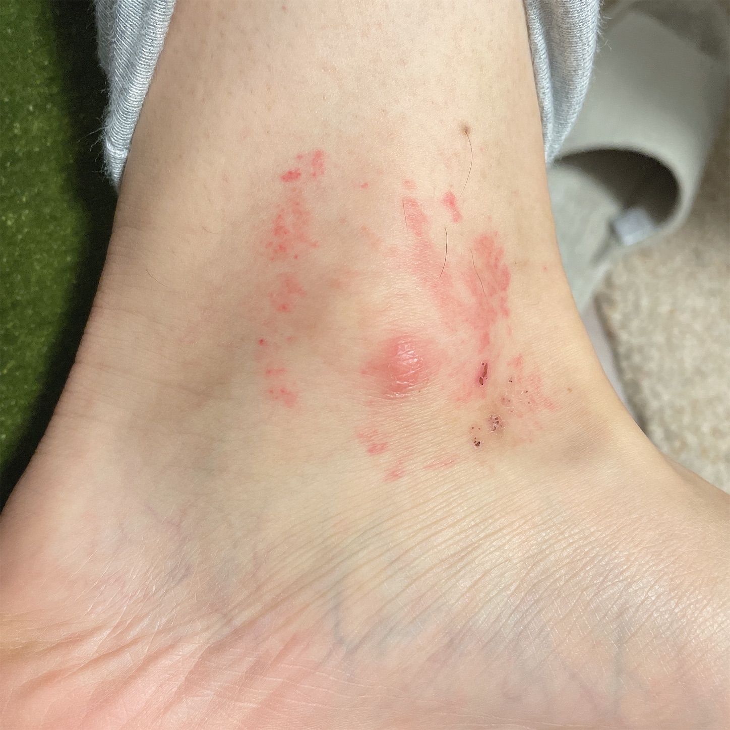 f:id:ketoraaa:20210510233647j:image