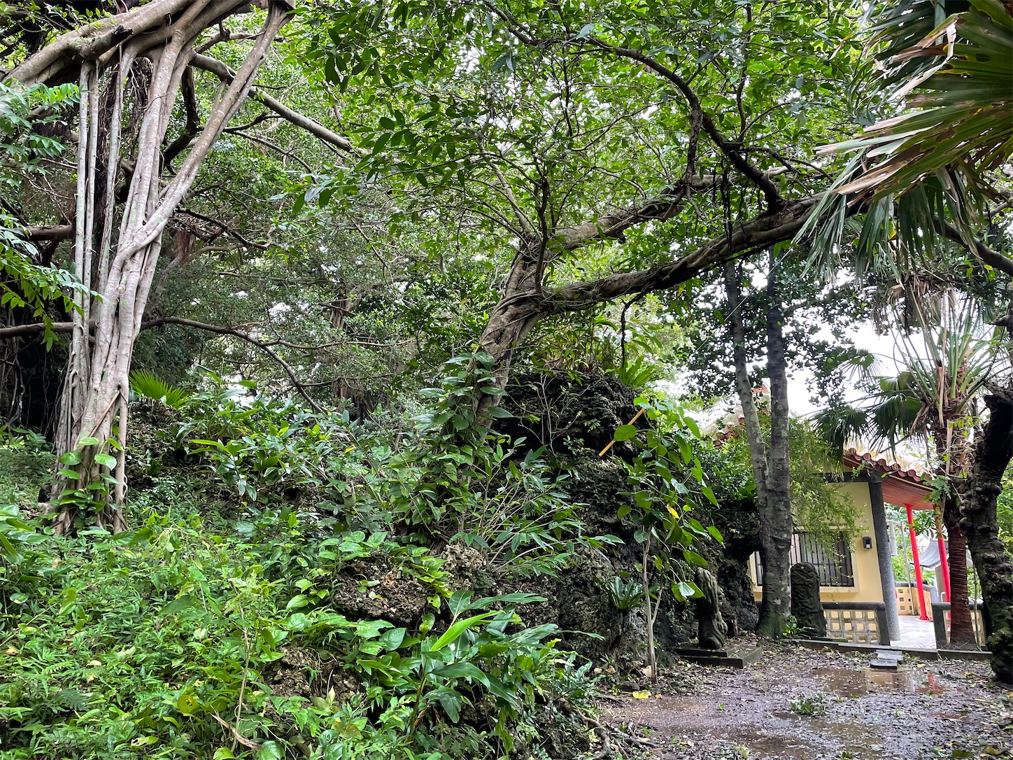 f:id:ketoraaa:20210726113416j:image