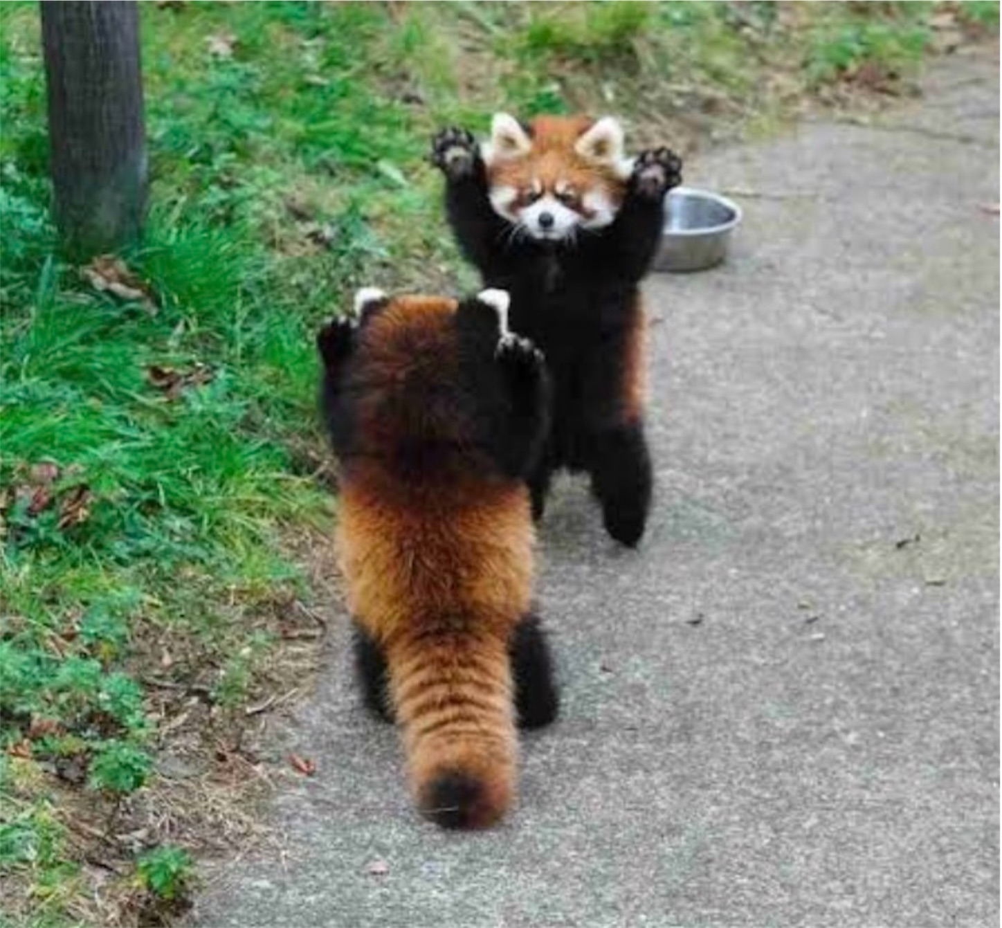 f:id:ketoraaa:20220305085259j:image