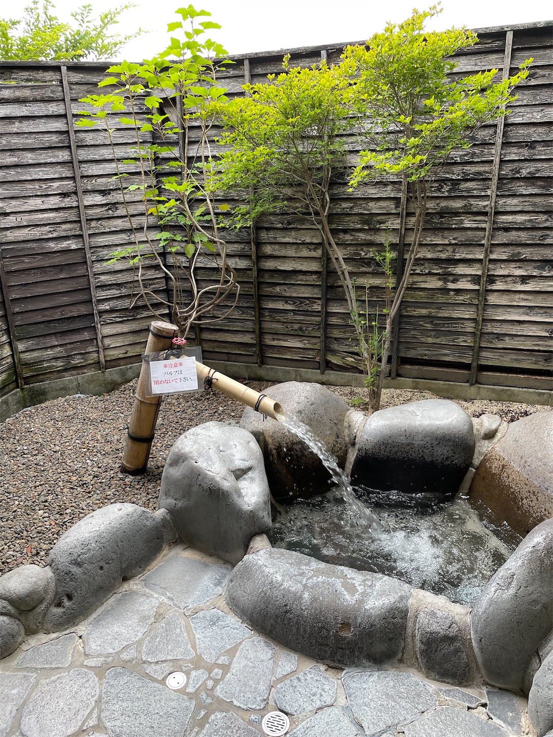 f:id:ketoraaa:20220731164520j:image