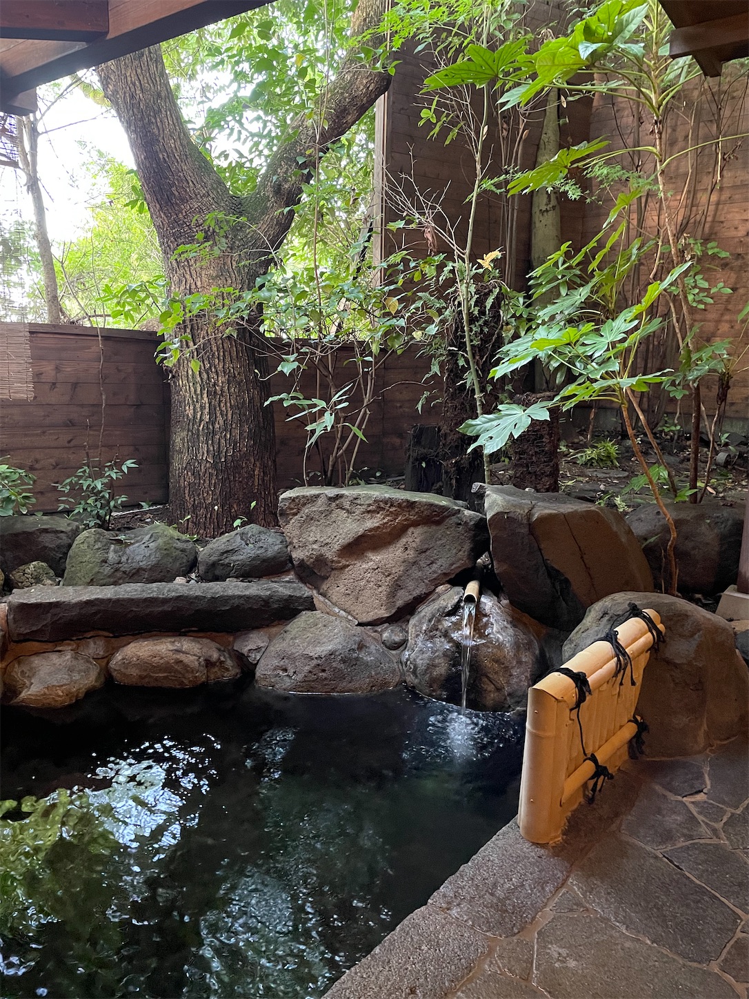 f:id:ketoraaa:20220731164621j:image