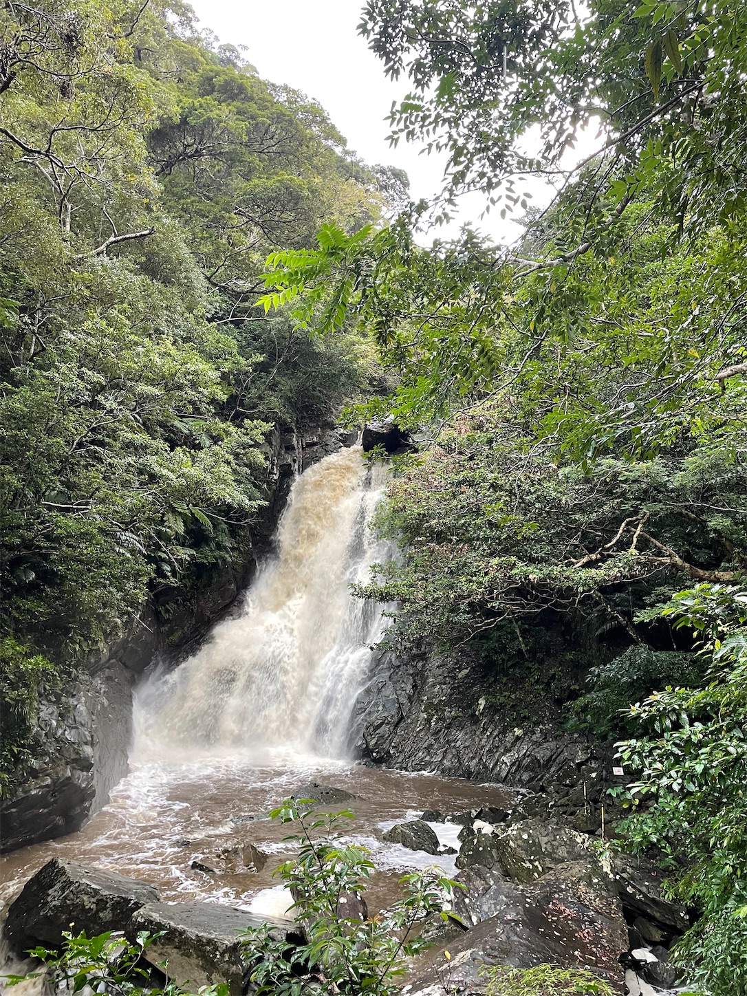 f:id:ketoraaa:20230925171705j:image f:id:ketoraaa:20230925171705j:image