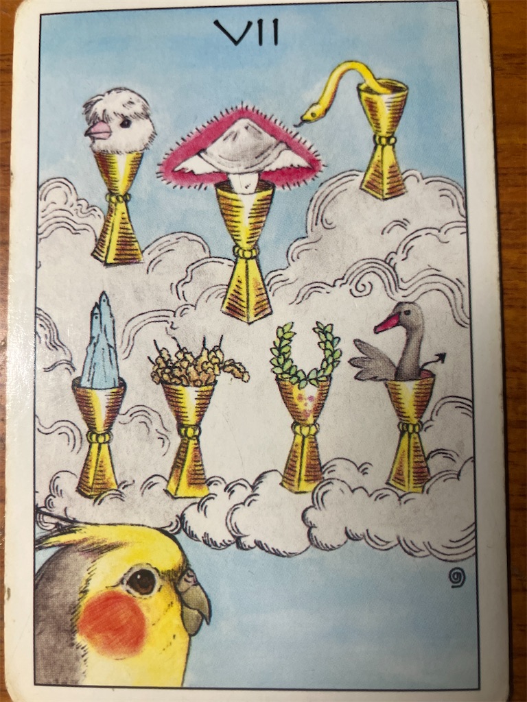 f:id:kettymimi:20260205225257j:image