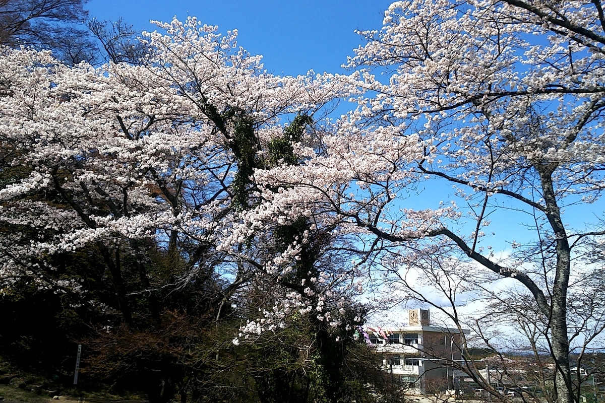 f:id:ketunyo:20190409220602j:plain f:id:ketunyo:20190409220602j:plain