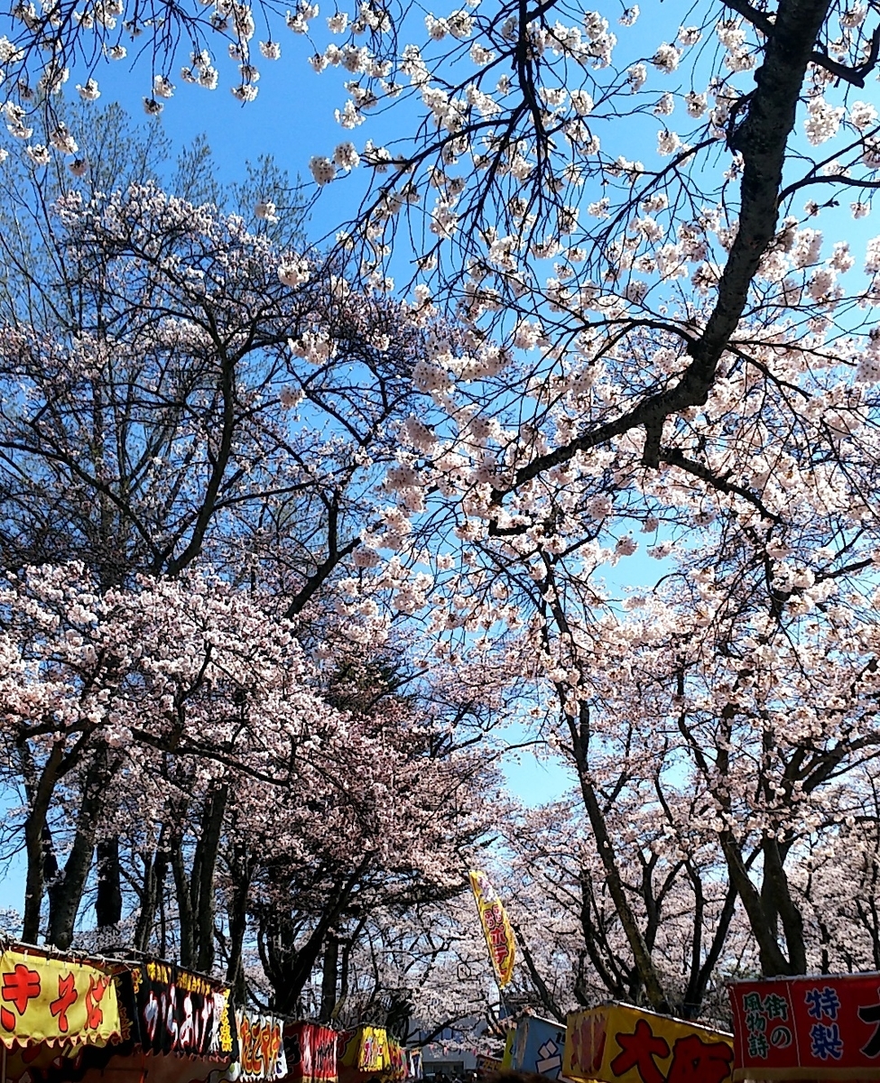 f:id:ketunyo:20190413204419j:plain f:id:ketunyo:20190413204419j:plain